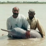The Indus Dolphin: From Sacrifice to Sanctuary